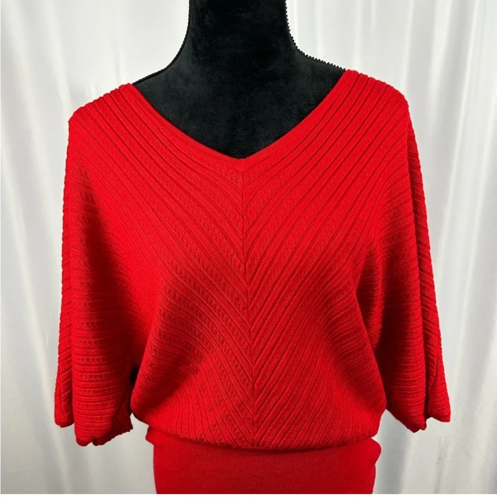 Lane Bryant Silver Grey 18 / 20 Vneck Dolman sleeve sweater top shirt blouse - Picture 7 of 7